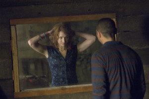 cabin in the woods